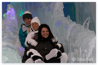 Snow Village Ice Slide